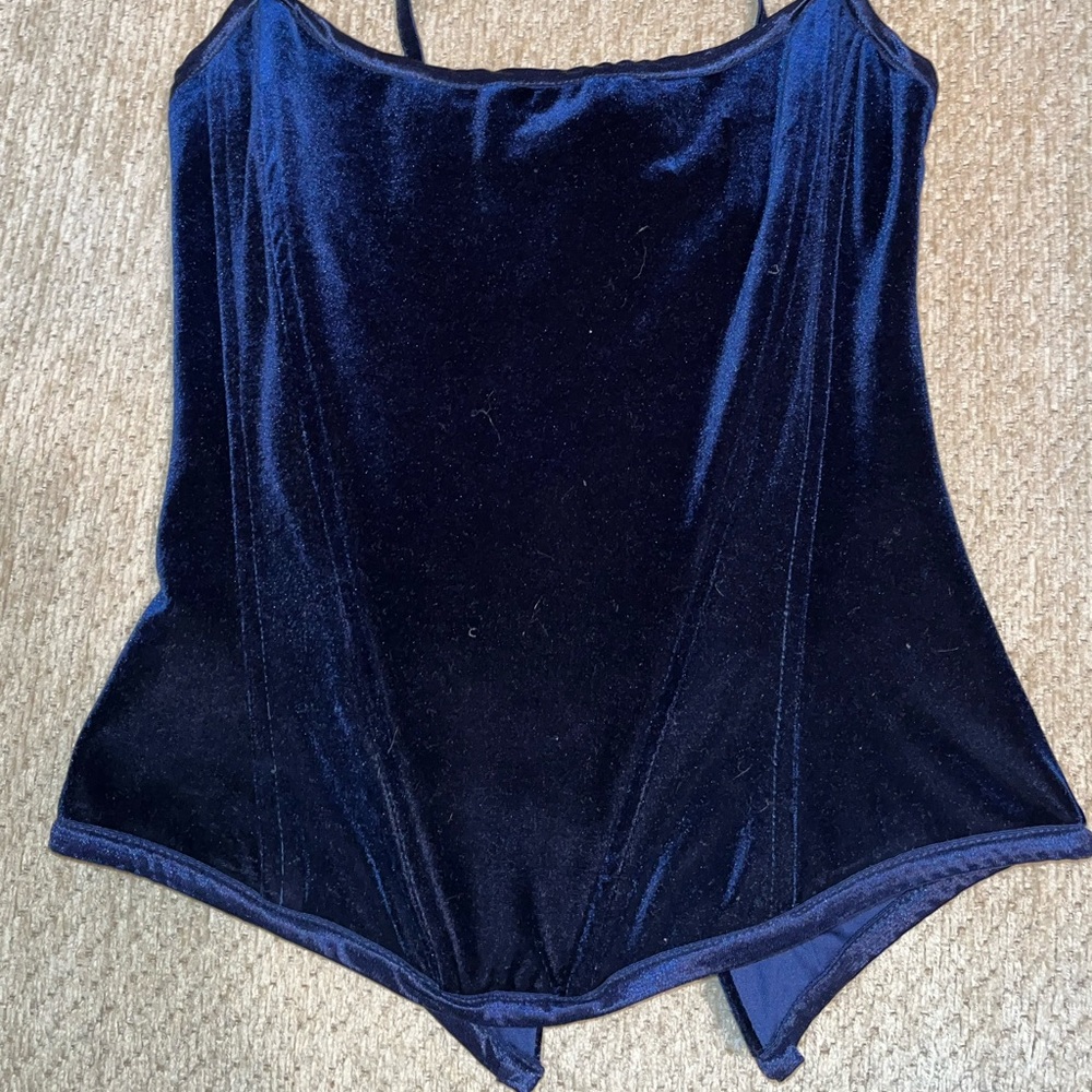Royal blue velvet vintage corset